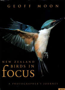 NZ Birds in Focus.
